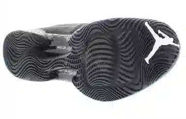 Jordan Air Jordan 29