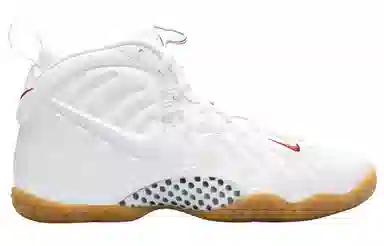 Nike Foamposite Pro Air White Gucci