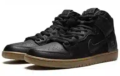 Nike Dunk SB Zoom Pro "Antihero"
