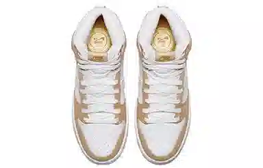 Premier x Nike Dunk SB