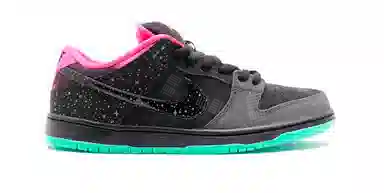 Nike Dunk SB Premier "Northern Lights"