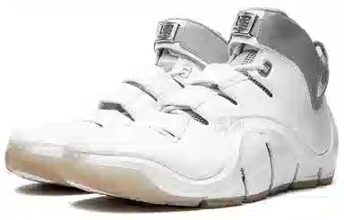 Nike Lebron 4 White Chrome 4