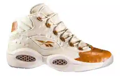 Sneakersnstuff x Reebok Question Lux