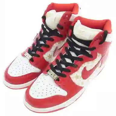 Supreme x Nike Dunk SB Pro SB