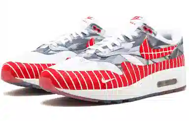 Wasafu x Nike Air Max 1