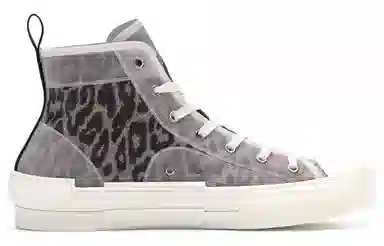 DIOR B23