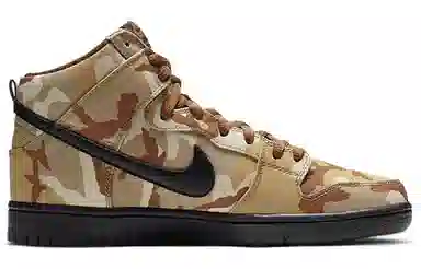 Nike Dunk SB Camo