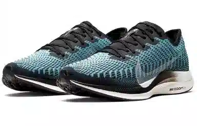 Nike Pegasus turbo 2