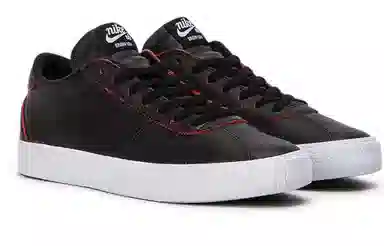 Nike SB Bruin Low NBA Bulls