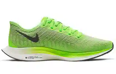 Nike Pegasus turbo 2