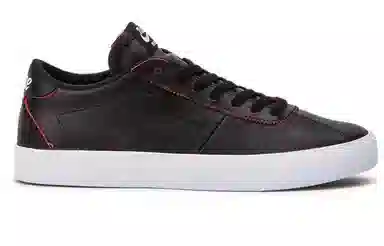 Nike SB Bruin Low NBA Bulls