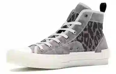 DIOR B23