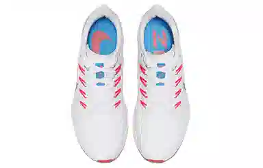 Nike Pegasus 36 White Pink