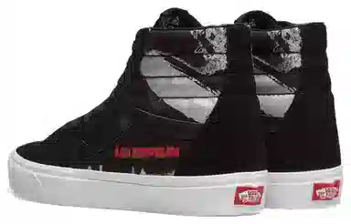 Led Zeppelin x Vans SK8