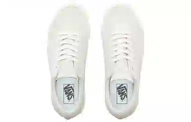 Vans SID Anaheim Factory Dx