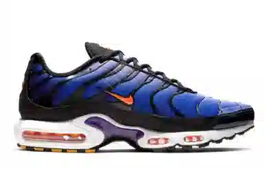 Nike Air Max Plus Midnight Purple
