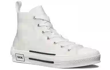 Dior B23 Oblique