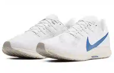 Nike Pegasus 36 White Blue