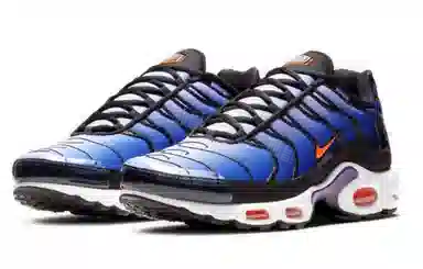 Nike Air Max Plus Midnight Purple