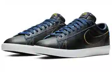 Nike SB Bruin Low Warriors