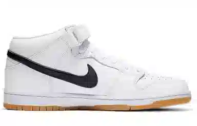 Nike Dunk SB Pro Iso