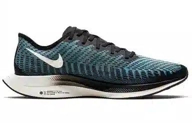 Nike Pegasus turbo 2