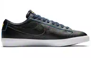 Nike SB Bruin Low Warriors