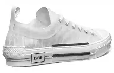 DIOR B23 Oblique logo