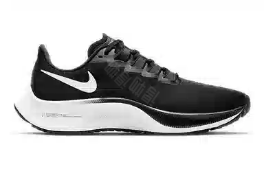 Nike Pegasus 37