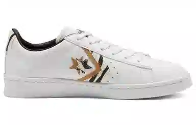 Converse Sunblocked Pro Leather