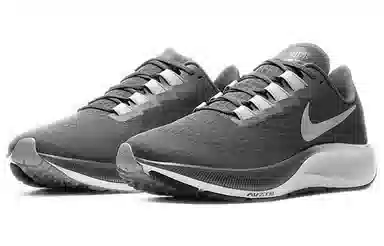 Nike Pegasus 37