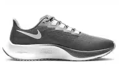 Nike Pegasus 37