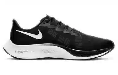 Nike Pegasus 37