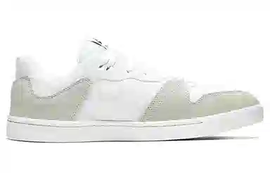 Nike SB Alleyoop Grey White