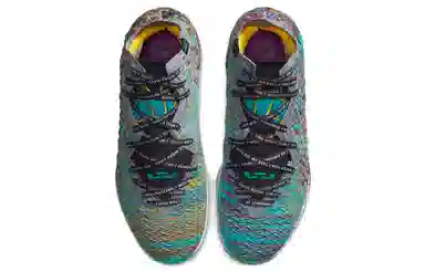 Nike Lebron 17 "I Promise"