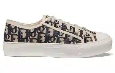 DIOR Walk'n'Dior Oblique