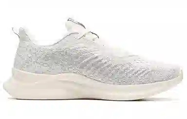 Anta Low-Top Running Shoes Grey