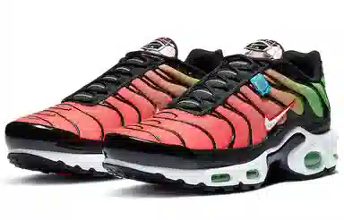 Nike Air Max Plus Worldwide Black