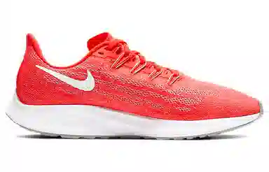 Nike Pegasus 36
