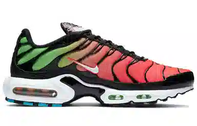 Nike Air Max Plus Worldwide Black