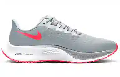 Nike Pegasus 37