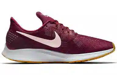 Nike Pegasus 35