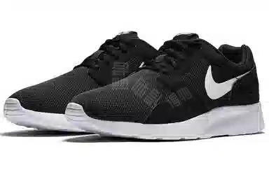 Nike Kaishi