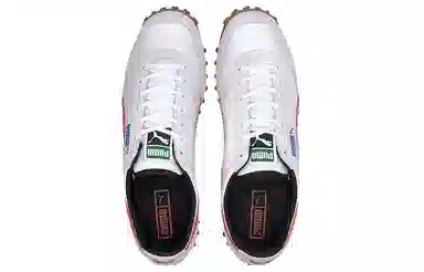 Puma Fast Rider Source