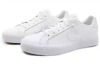 Nike Court Royale AC White