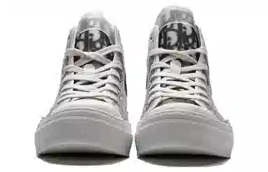 Stussy x DIOR B23
