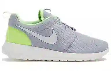 Nike Roshe One SE
