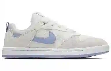 Nike SB Alleyoop Purple Grey