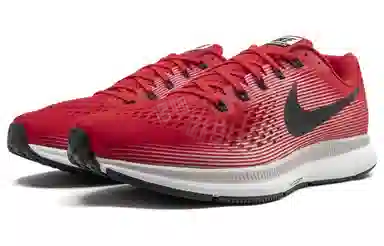 Nike Pegasus 34 Zoom