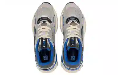 PUMA RS-2K Internet Exploring